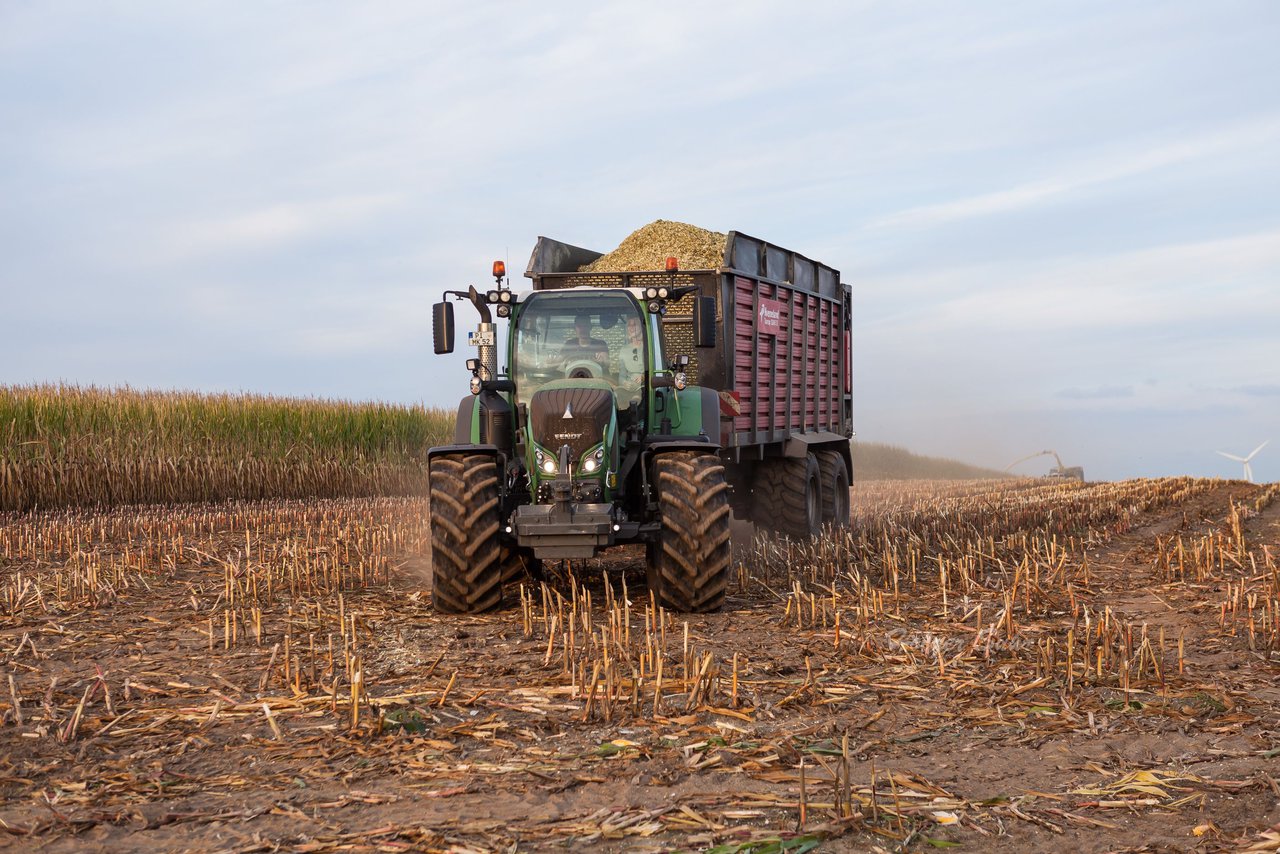 Bild 130 - Maisernte 2016